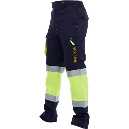 Cerva_strip_safeguru_01.png