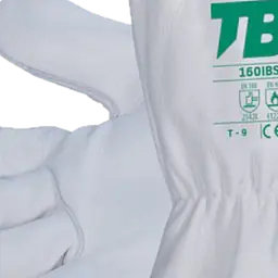 160ibsz nb use.png