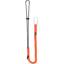 Jsp_far0502_safeguru_01.webp