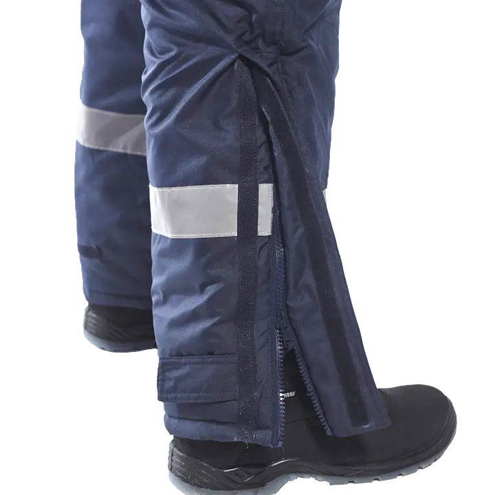 CS11_LS_5 nb.png