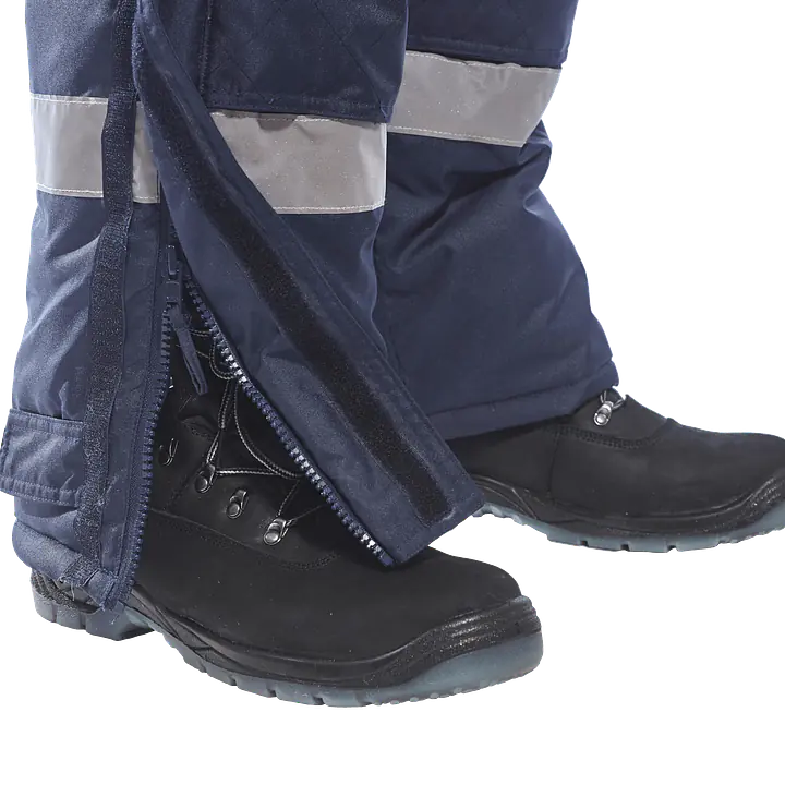 CS11_LS_3 nb.png