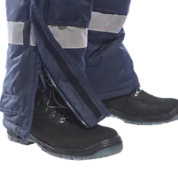 CS11_LS_3 nb.png