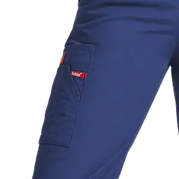 Dickies_86106_navy_safeguru_02.webp