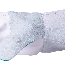 _MG_2853.png