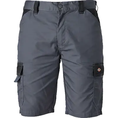 Bermudas Dickies EVERYDAY primary image