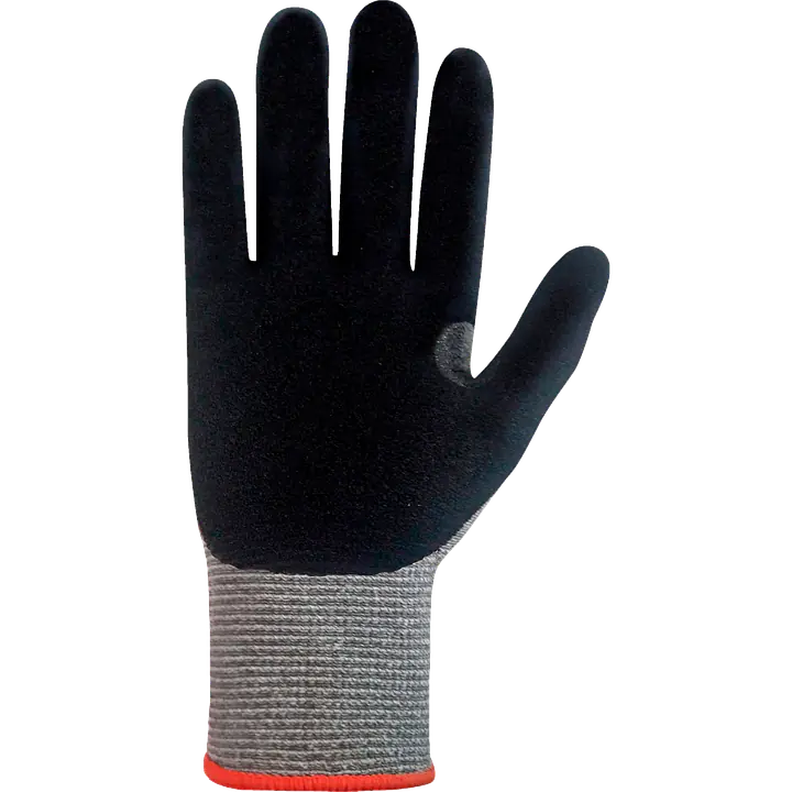 Jomiba_kiore_5_safeguru_02.webp