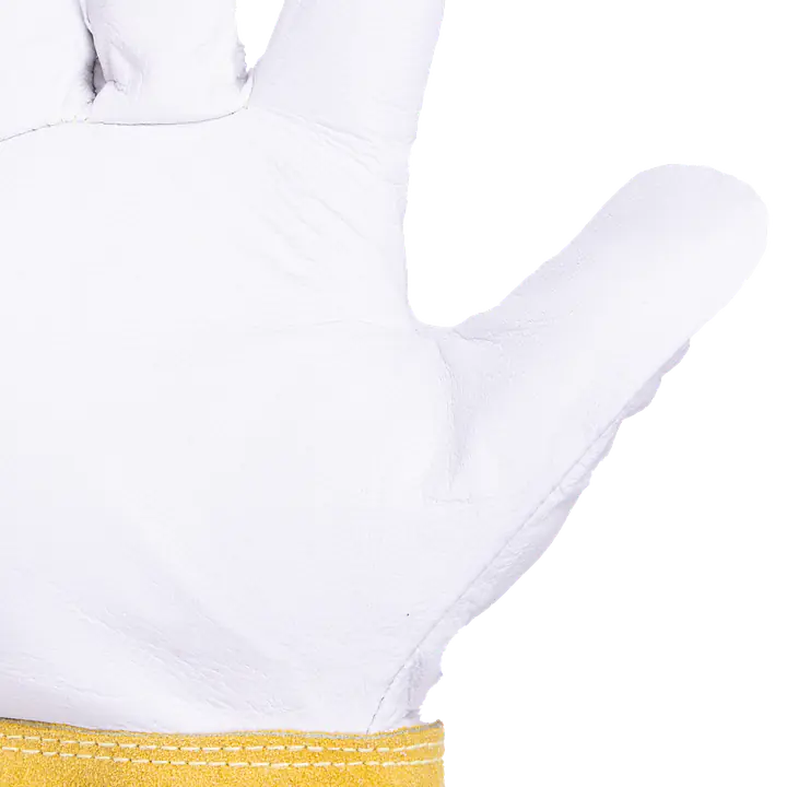 _MG_2849detalle.png