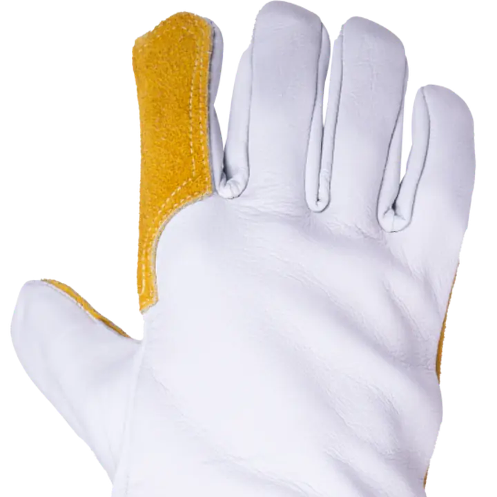 Tb_981_emprotig_safeguru_07.webp