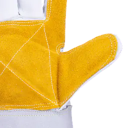 Tb_981_emprotig_safeguru_02.webp